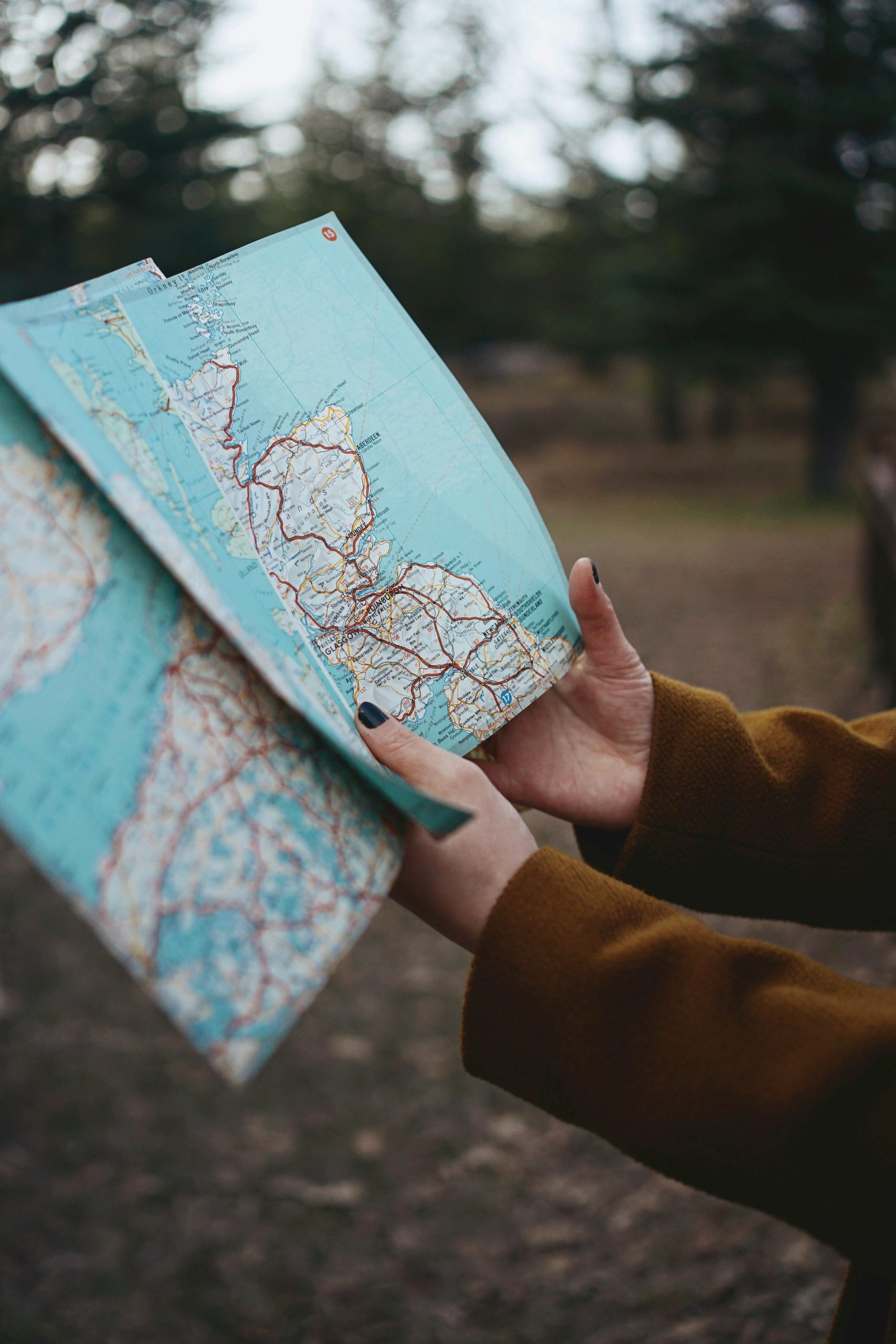 My journey and need Guidance #SEO