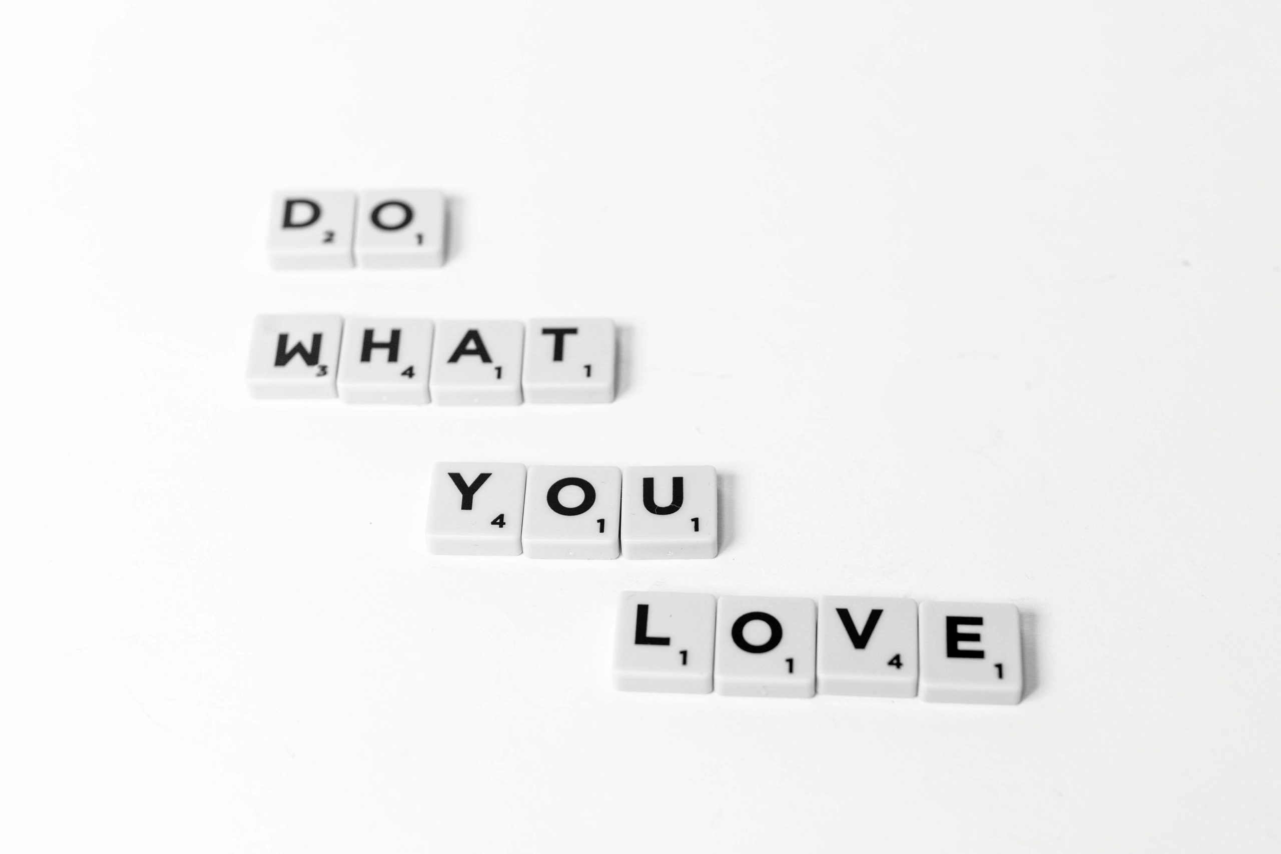 Why Do you Love SEO Audit?