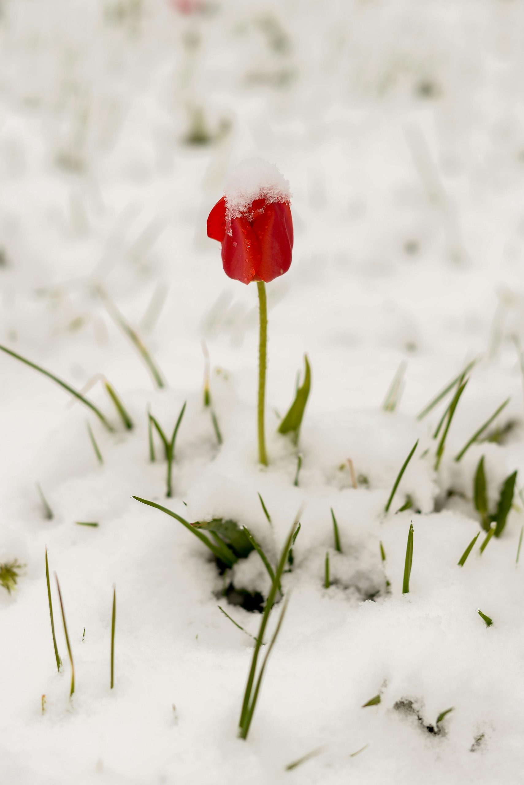 What single change made your pipeline steadier all year?