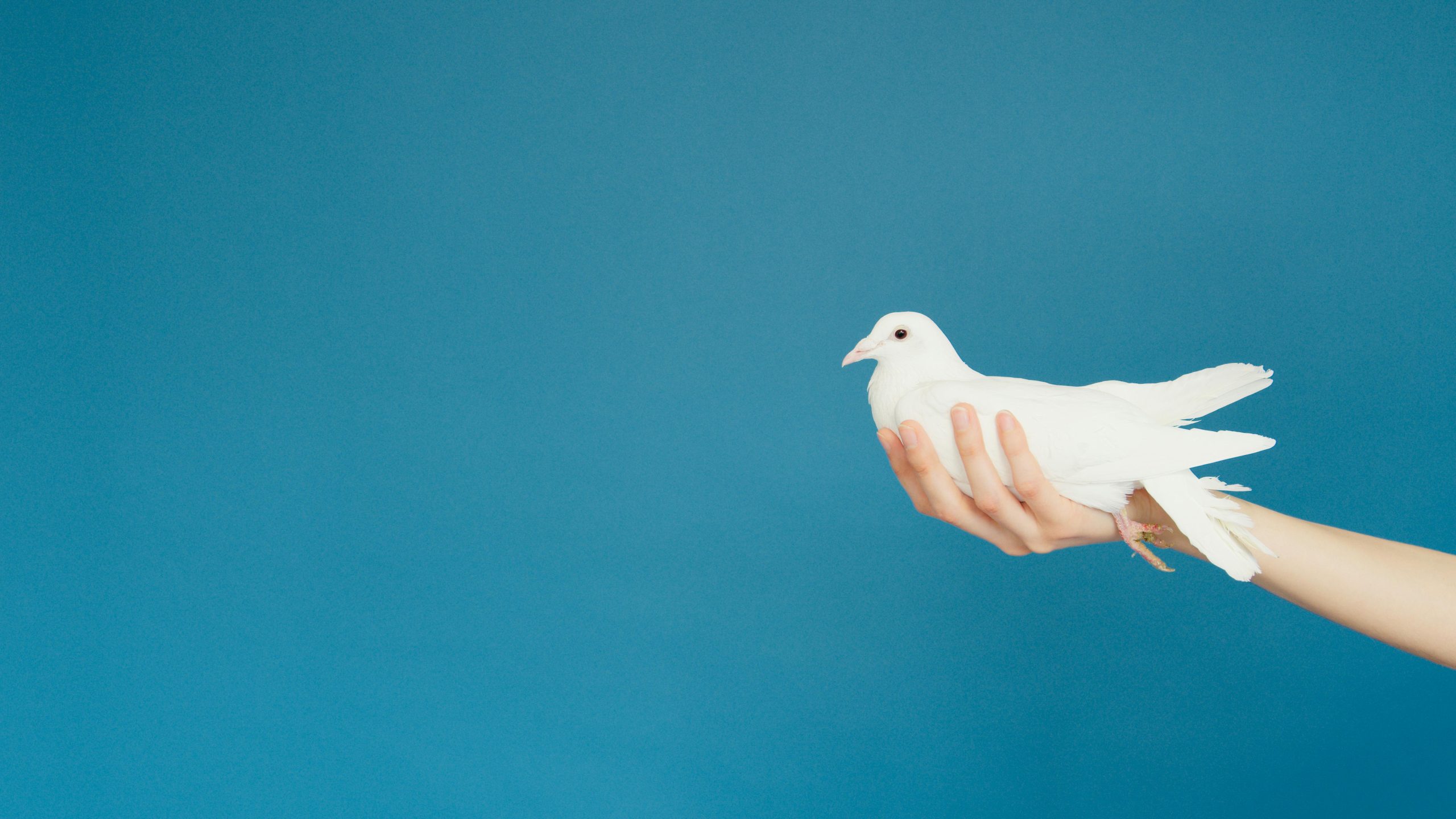 Which free SEO tool do you actually trust the most?