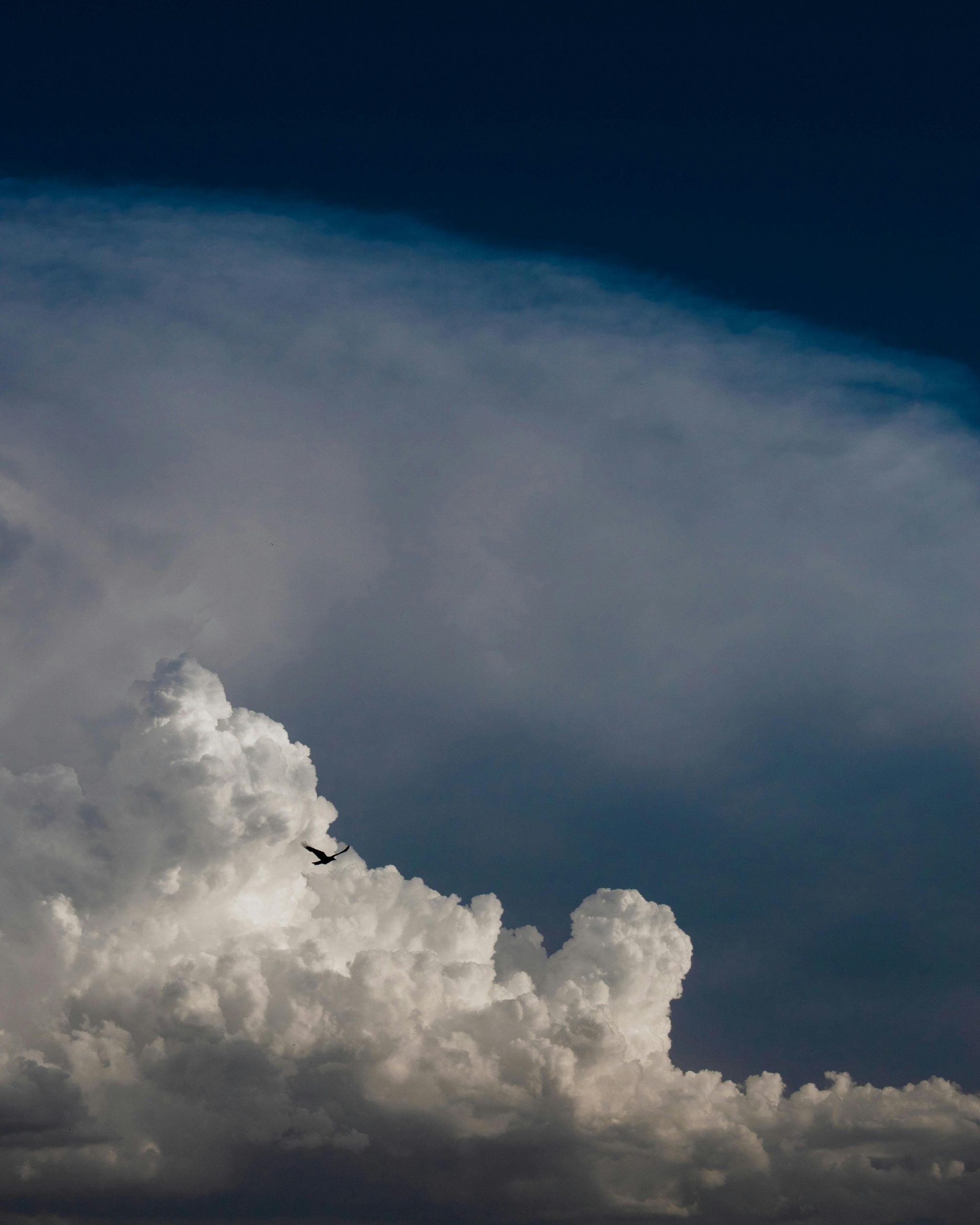 Moving My Django/Next.js SaaS from Homelab to Cloud — AWS, DigitalOcean or other?